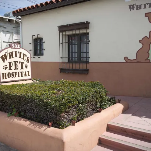 White's Pet Hospital outside sign